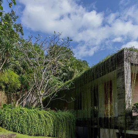 Villa Chameleon Selemadeg Esterno foto